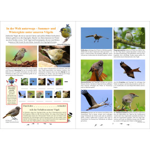 Auf Entdeckungsreise durch unsere Natur - Vögel (Rätselheft)